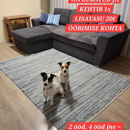 Arens Rent Kohtu 2a