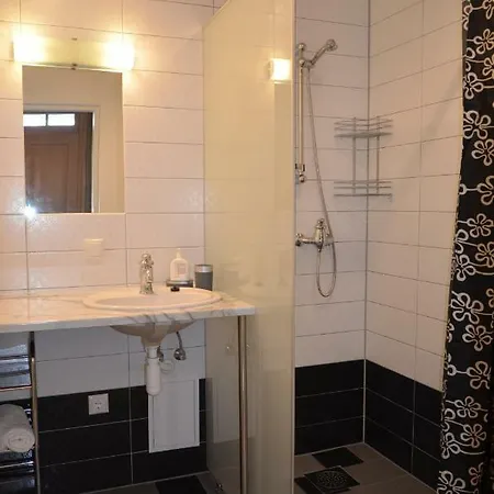 شقة Arens Rent Kohtu 2a كوريسارِ